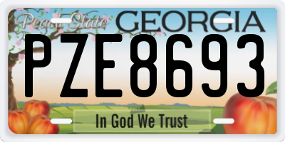 GA license plate PZE8693