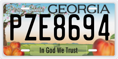 GA license plate PZE8694
