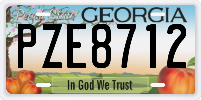 GA license plate PZE8712