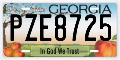GA license plate PZE8725