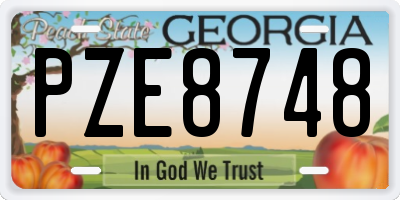 GA license plate PZE8748