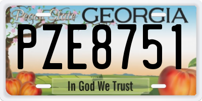 GA license plate PZE8751