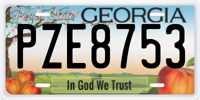 GA license plate PZE8753