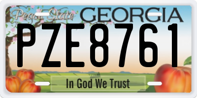 GA license plate PZE8761