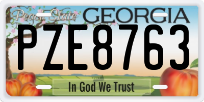 GA license plate PZE8763