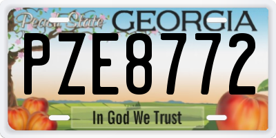 GA license plate PZE8772