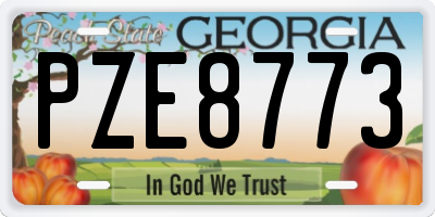 GA license plate PZE8773