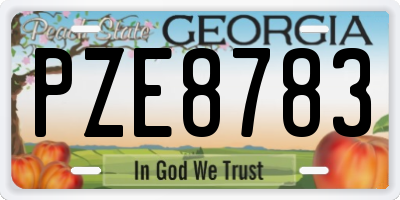 GA license plate PZE8783
