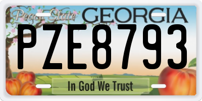 GA license plate PZE8793