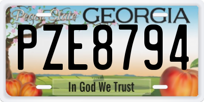 GA license plate PZE8794