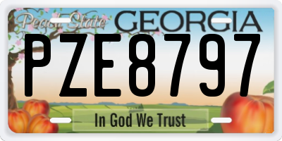 GA license plate PZE8797