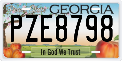 GA license plate PZE8798