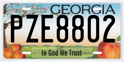 GA license plate PZE8802