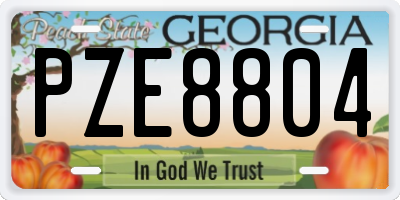 GA license plate PZE8804