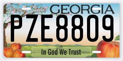 GA license plate PZE8809