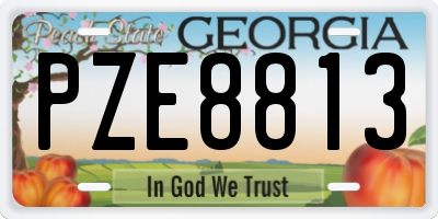 GA license plate PZE8813