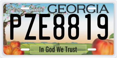 GA license plate PZE8819