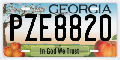 GA license plate PZE8820