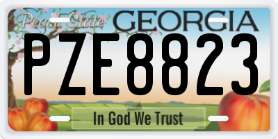 GA license plate PZE8823