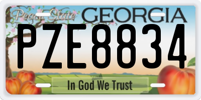 GA license plate PZE8834