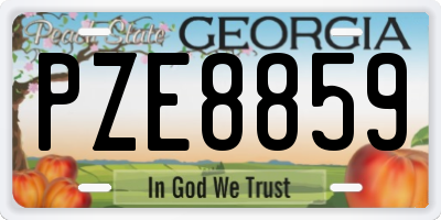 GA license plate PZE8859
