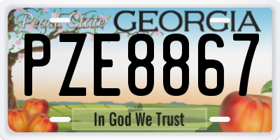 GA license plate PZE8867