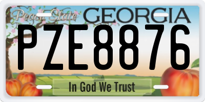 GA license plate PZE8876