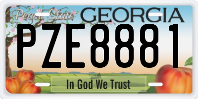 GA license plate PZE8881