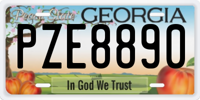 GA license plate PZE8890