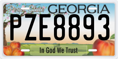 GA license plate PZE8893