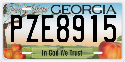 GA license plate PZE8915