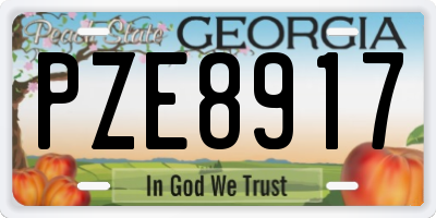 GA license plate PZE8917