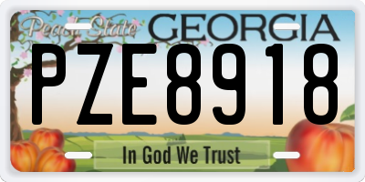 GA license plate PZE8918