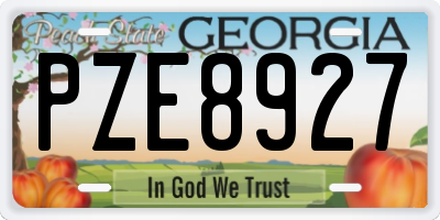 GA license plate PZE8927