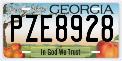 GA license plate PZE8928