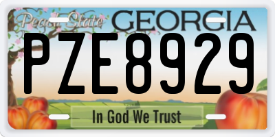 GA license plate PZE8929