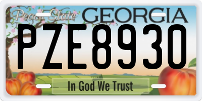 GA license plate PZE8930
