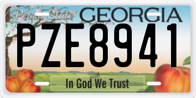 GA license plate PZE8941
