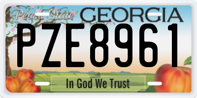 GA license plate PZE8961