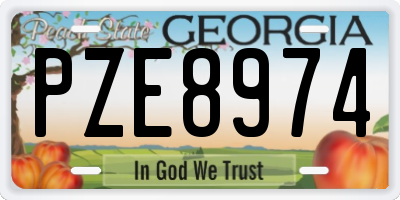 GA license plate PZE8974