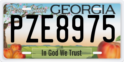 GA license plate PZE8975