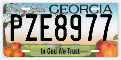 GA license plate PZE8977