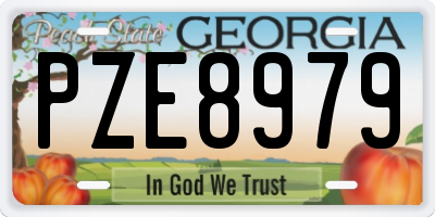 GA license plate PZE8979