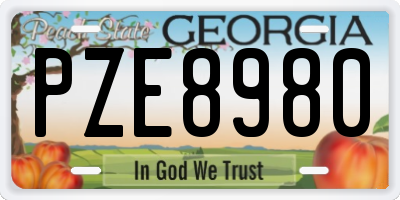 GA license plate PZE8980