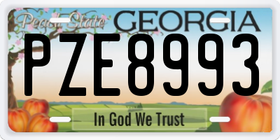 GA license plate PZE8993