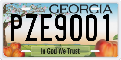 GA license plate PZE9001