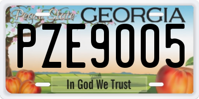 GA license plate PZE9005