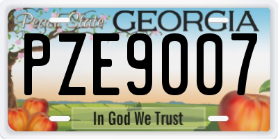 GA license plate PZE9007