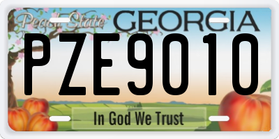 GA license plate PZE9010