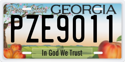 GA license plate PZE9011